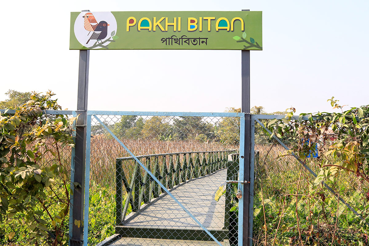 Pakhi Bitan